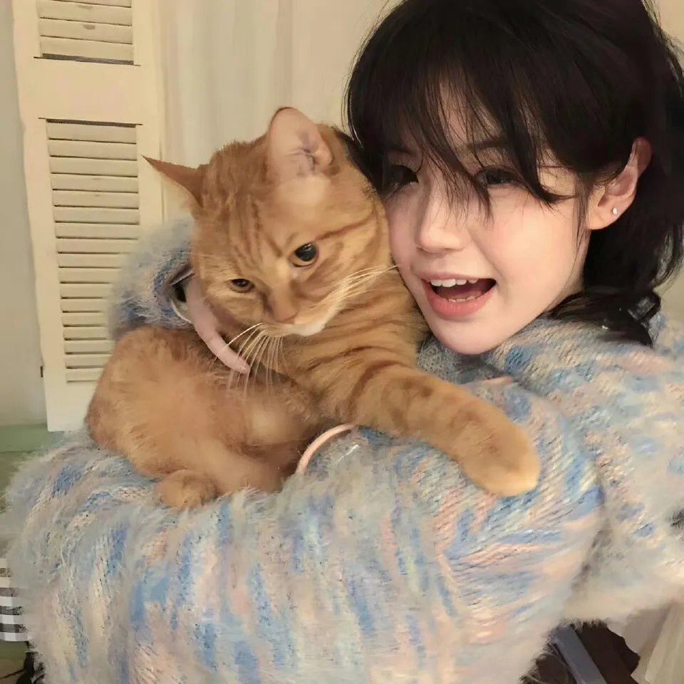 杀手老婆的保镖